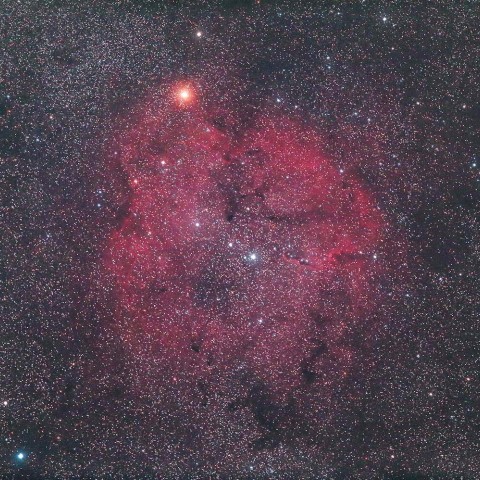 IC1396