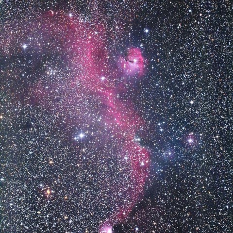 かもめ星雲IC2177