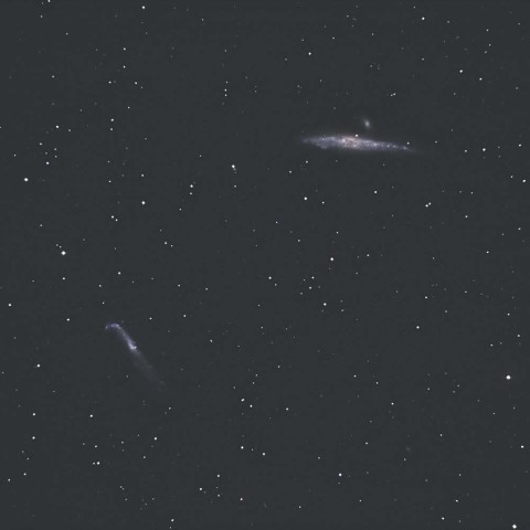 NGC4631、NGC4656-7