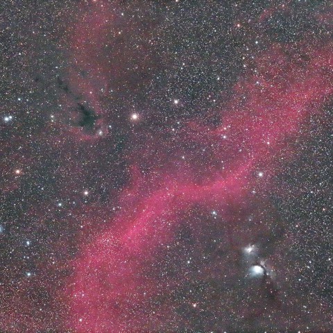 バーナードループとM78