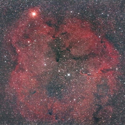 IC1396