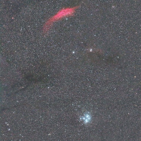 プレアデス～カリフォルニア星雲付近の分子雲