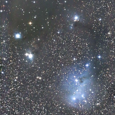 IC2169