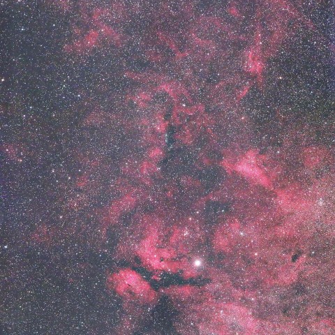 サドル付近の散光星雲