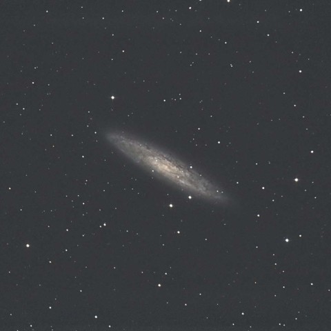 ちょうこくしつ座銀河 NGC253