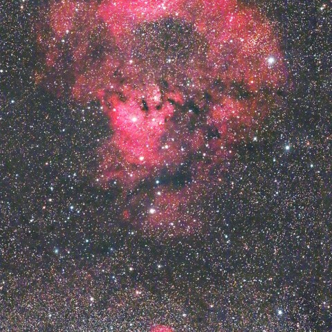NGC7822(Ced214) クエスチョンマーク星雲