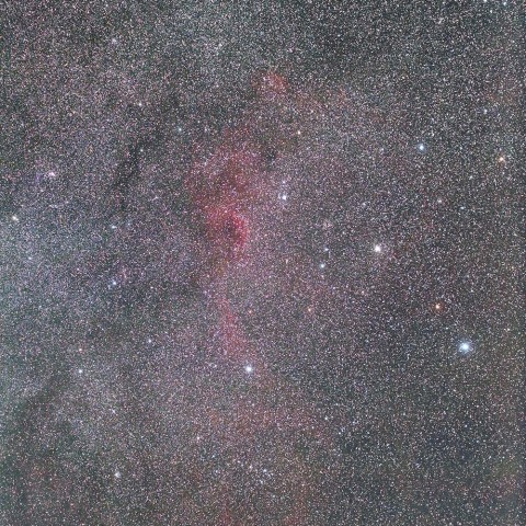 おおいぬ座の散光星雲