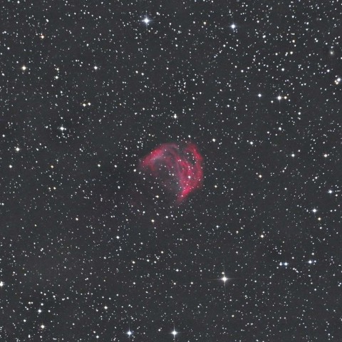 メデューサ星雲