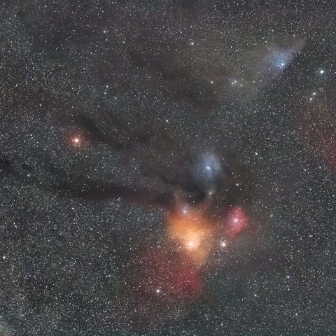 さそり座頭部の星雲