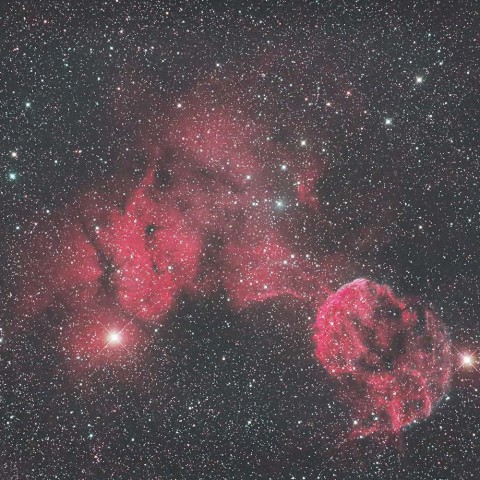 IC443