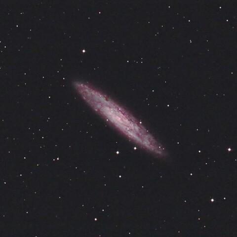 NGC253