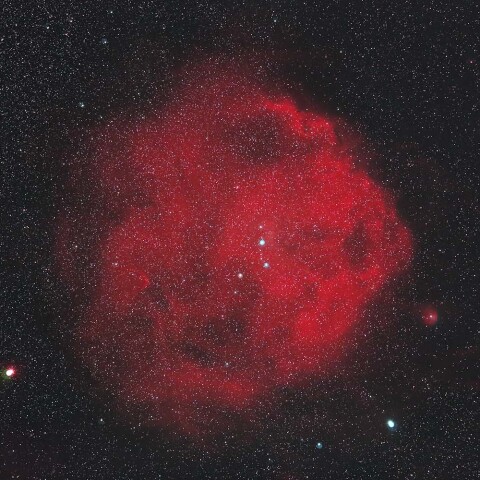 エンゼルフィッシュ星雲