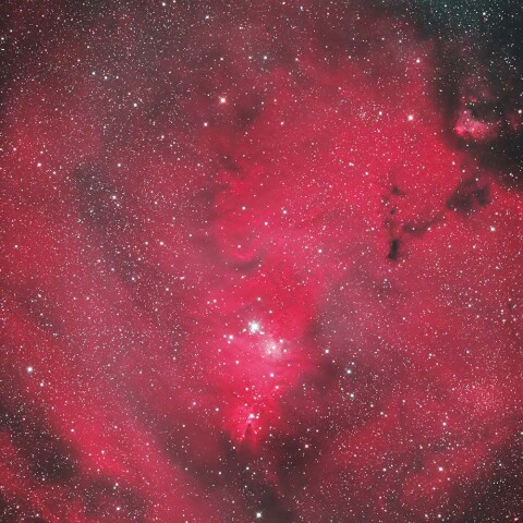 クリスマスツリー星雲