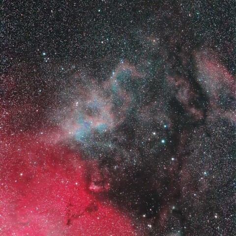 クリスマスツリー付近の星雲