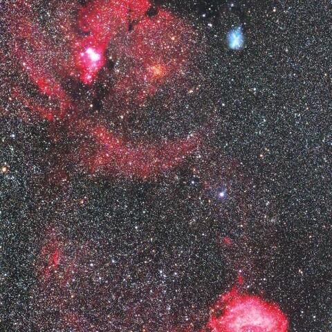 バラ星雲～クリスマスツリー星団