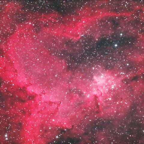 Melotte15付近