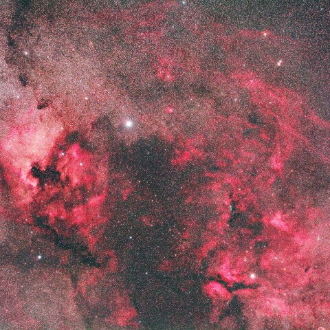 はくちょう座北部の散光星雲群