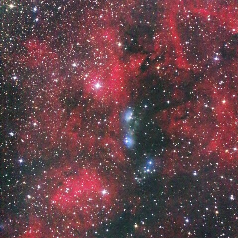 NGC6914