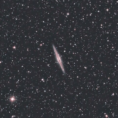 NGC891