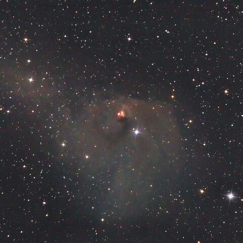 NGC1555付近
