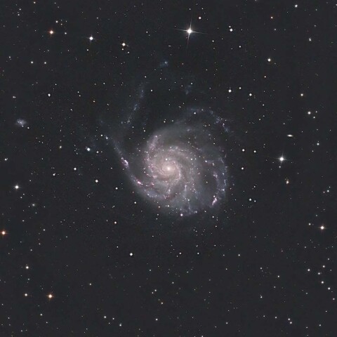 M101