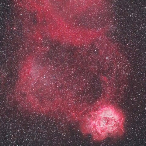 いっかくじゅうループ