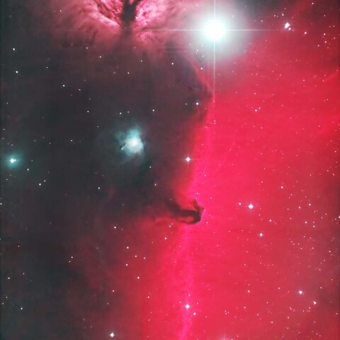 NGC2024と馬頭星雲