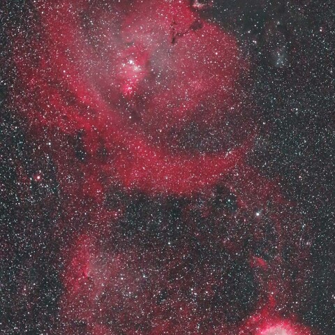 バラ星雲～クリスマスツリー付近