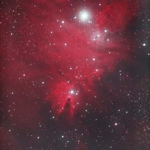 クリスマスツリー星団とコーン星雲