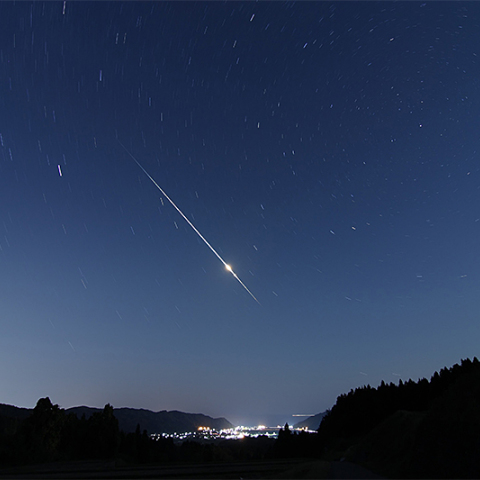舞い降りた宇宙からの珍客
