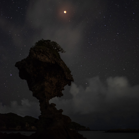 ブラッドムーン