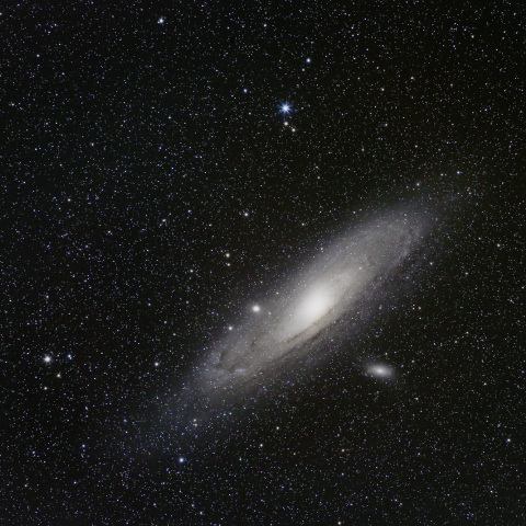 M31
