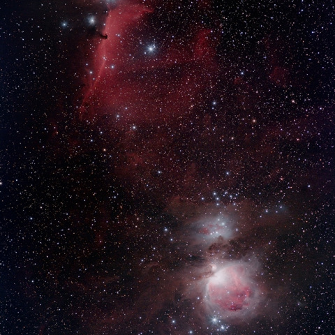 M42と馬頭星雲