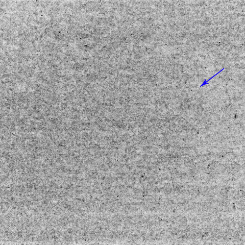 超小型衛星　FLOCK 1-2