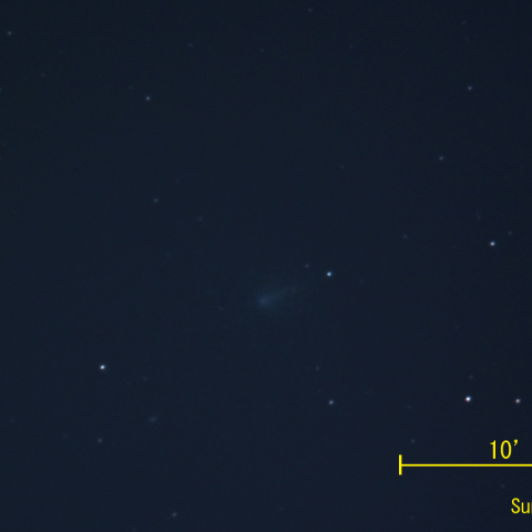 池谷・村上彗星