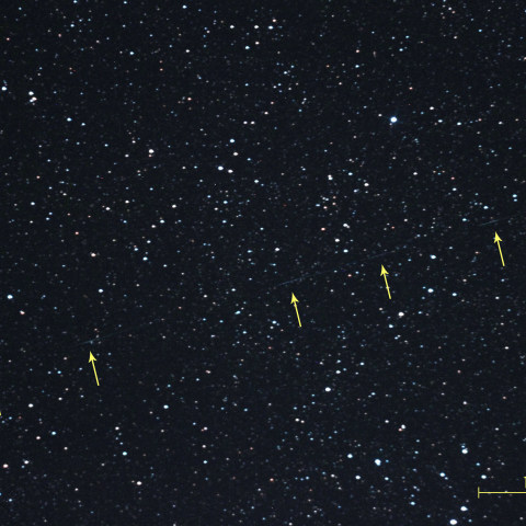 ひまわり4号　R/B