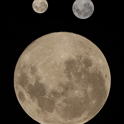 ブルームーン三態