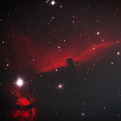 馬頭星雲 2026/2/3