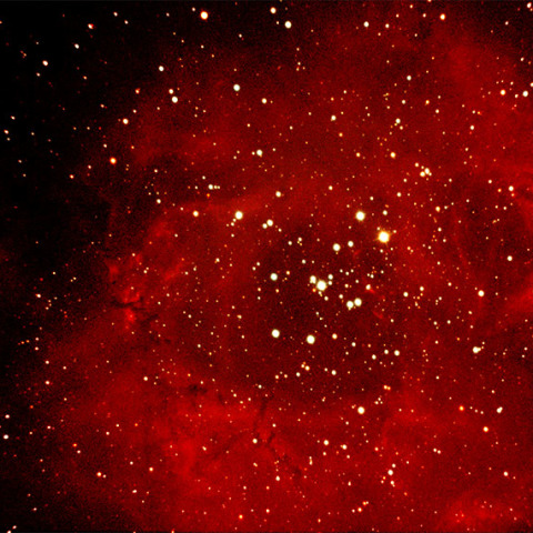 NGC2237 ばら星雲 2019/1/13