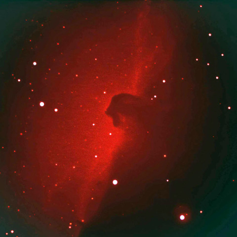 IC434 馬頭星雲 2019/1/21