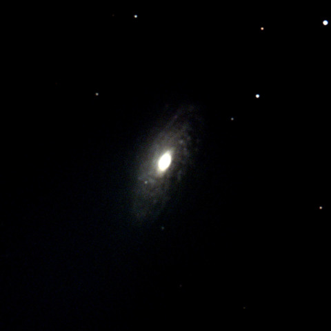 NGC3521 2019/3/24