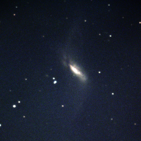 NGC660 2019/11/4