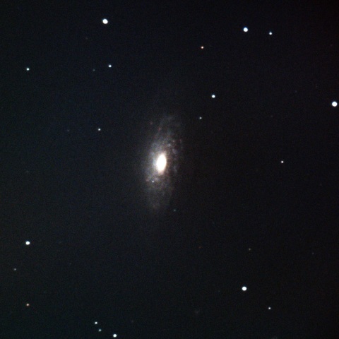 NGC3521 2021/4/21