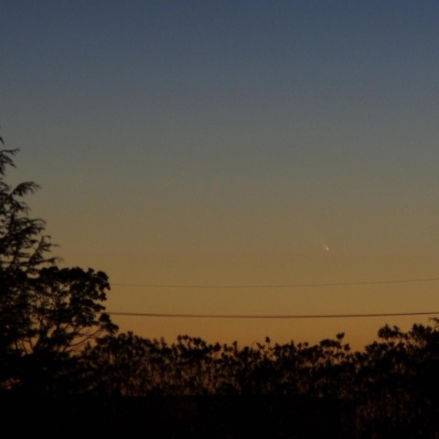 3/11　北神戸　パンスターズ彗星