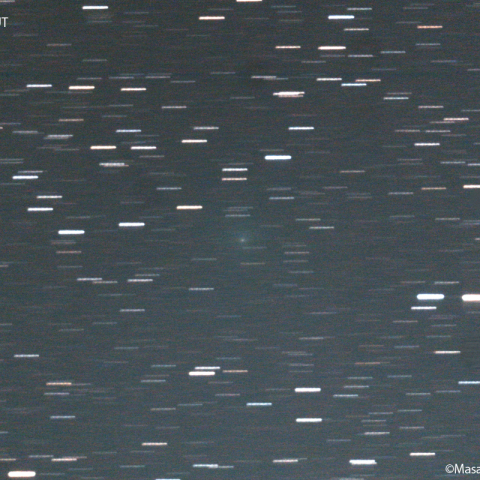 紫金山第１彗星（62P)：2023/10/22