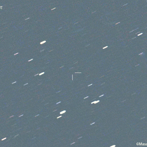 ペトリュー彗星( 185P )：2023/10/18 04:34:51