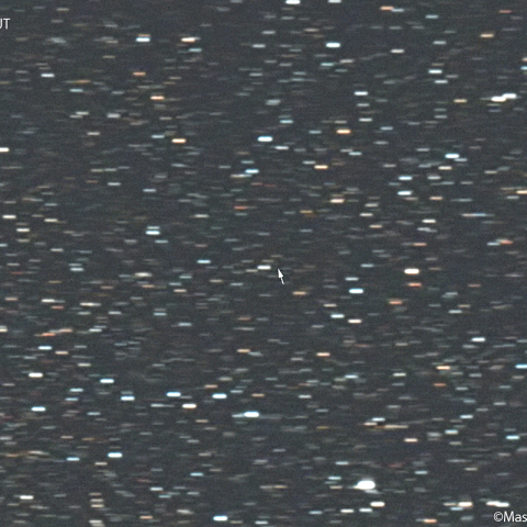 リニア彗星 ( 219P )  : 2023/10/17