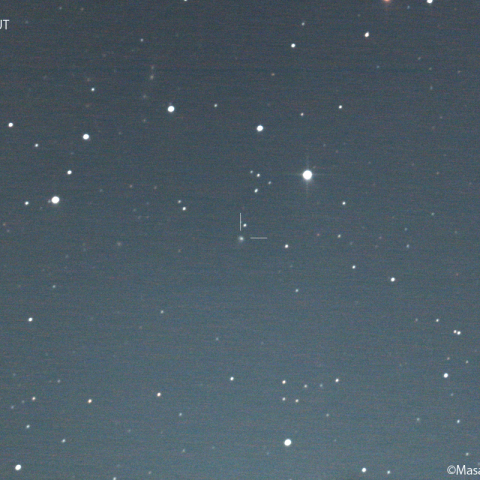 アトラス彗星 ( C/2022 E2 ) : 2023/11/08