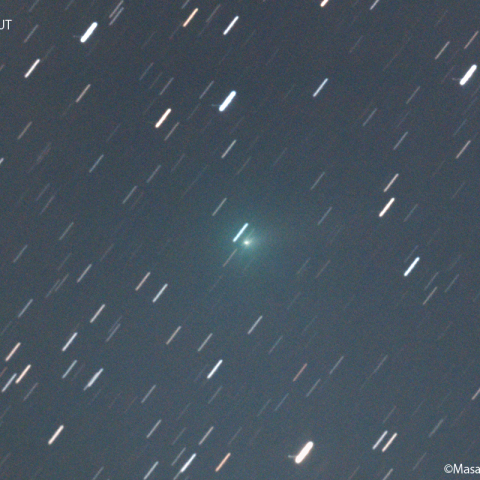 ハートレー第２彗星 (103P)：2023/11/08