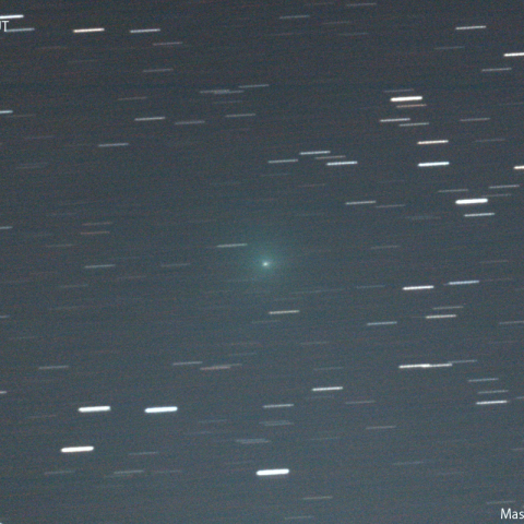 紫金山第１彗星（62P)：2023/11/08